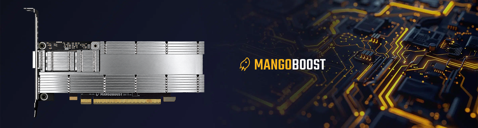 MangoBoost(망고부스트) BoostX DPU 제품